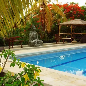 Hotel Playa Tranquilo And Dive Shop